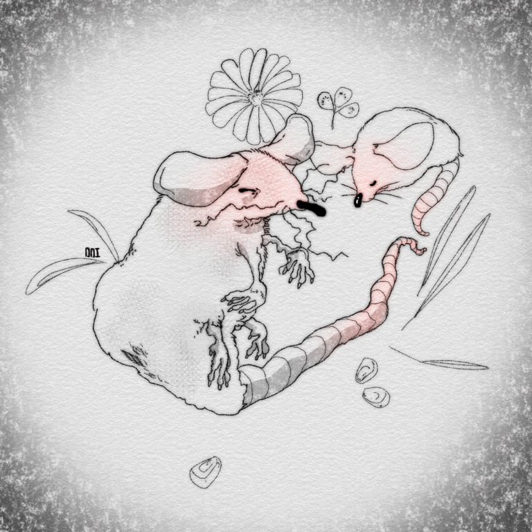 Le passage de l’insouciance à l’impuissance