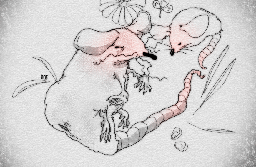 Le passage de l’insouciance à l’impuissance