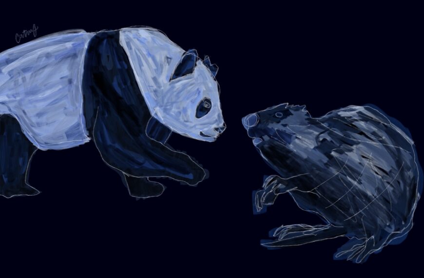 Véhicules électriques et canola : la visite de Mark Carney en Chine