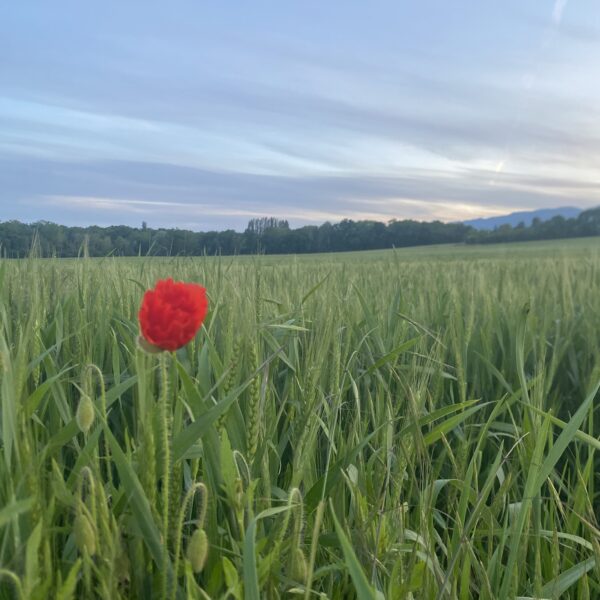 L’accès à la nature