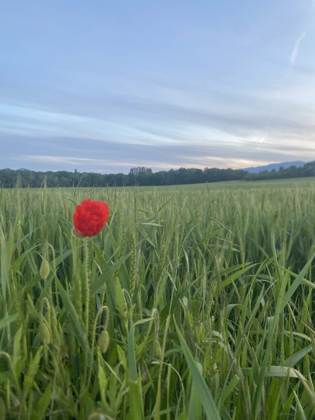 L’accès à la nature
