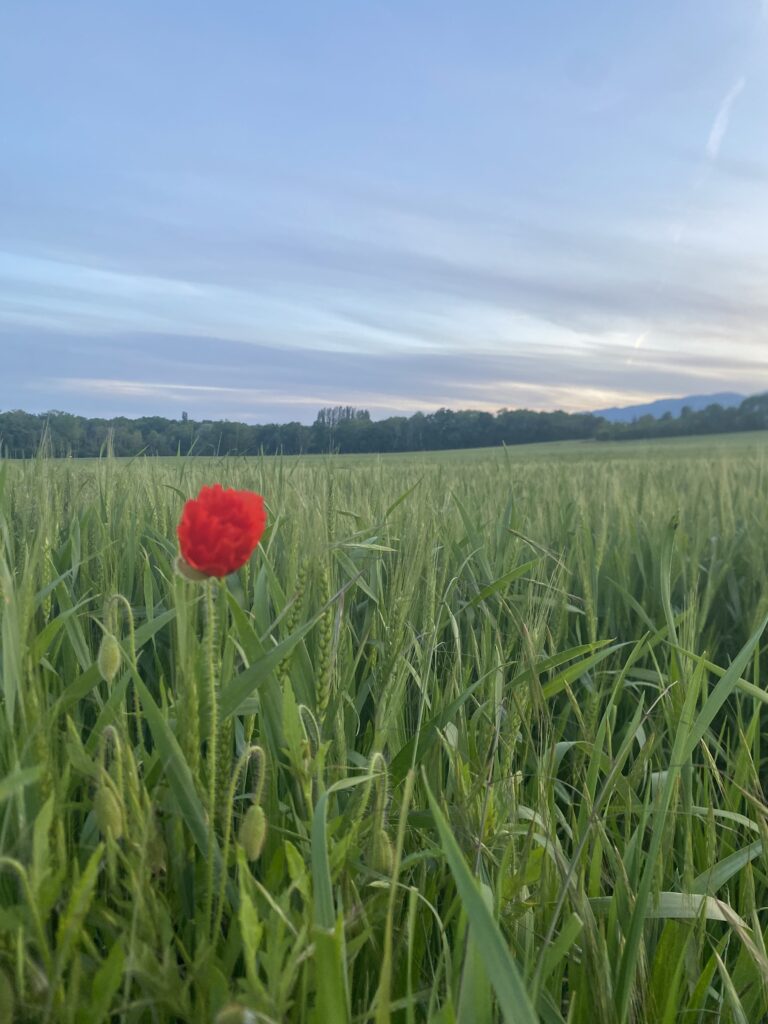 L’accès à la nature