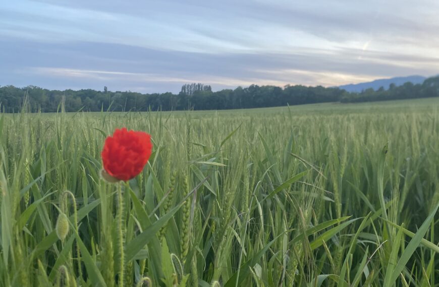 L’accès à la nature