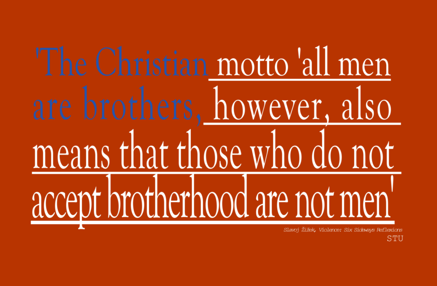 À Minneapolis, la colère des habitants face à la police de l’immigration