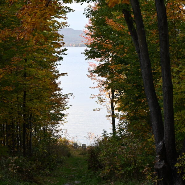 Nature et culture&nbsp;: une opposition qui n’a pas lieu d’être