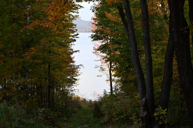 Nature et culture&nbsp;: une opposition qui n’a pas lieu d’être