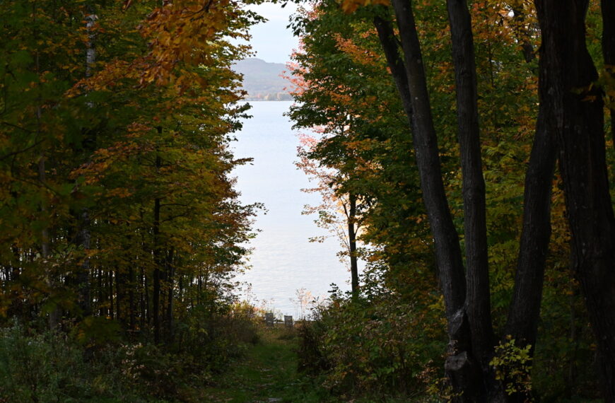 Nature et culture&nbsp;: une opposition qui n’a pas lieu d’être