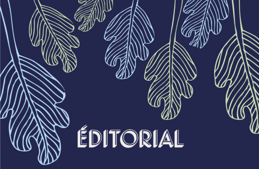 Le Mois de l’histoire des Noirs