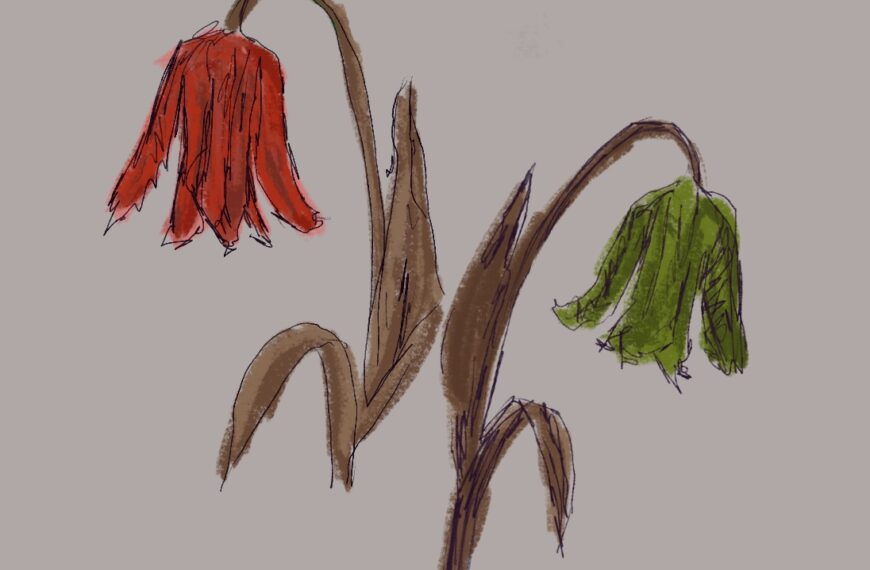 Gaza&nbsp;: les soldats canadiens ne reposent plus en&nbsp;paix