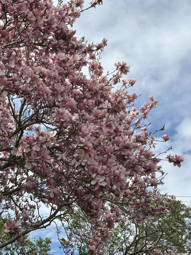 L’épidémie de la nonchalance