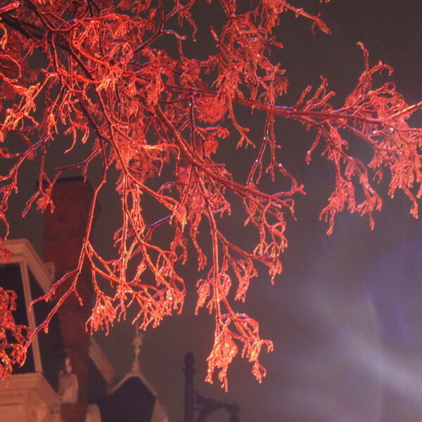 Le fascisme : un suicide collectif