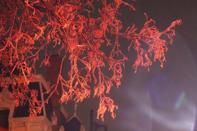 Le fascisme : un suicide collectif